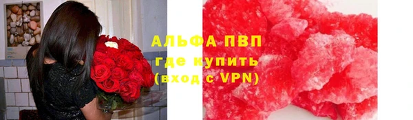 гашик Михайловск