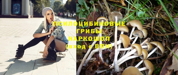 гашик Михайловск