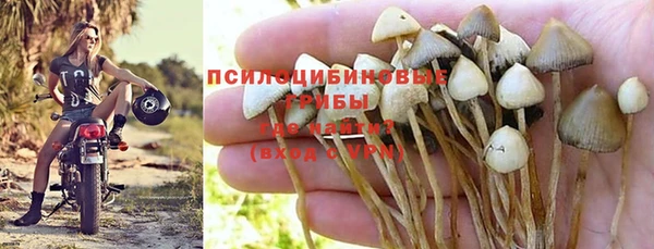 экстази Анива
